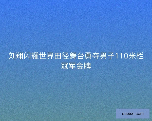 刘翔闪耀世界田径舞台勇夺男子110米栏冠军金牌