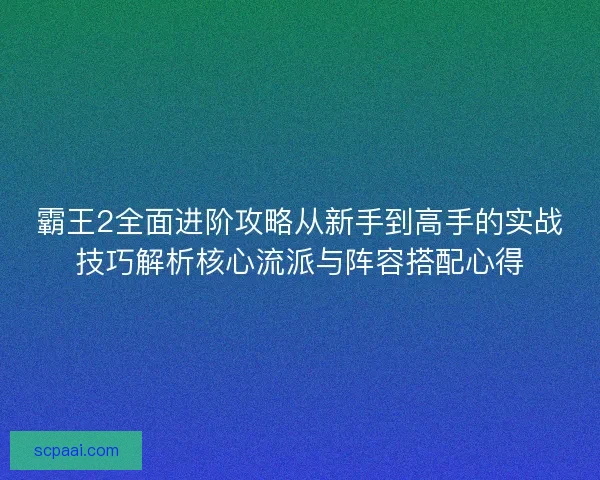 霸王2全面进阶攻略从新手到高手的实战技巧解析核心流派与阵容搭配心得
