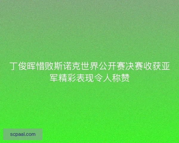 丁俊晖惜败斯诺克世界公开赛决赛收获亚军精彩表现令人称赞